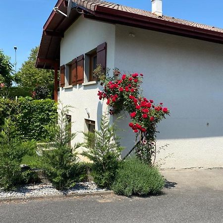 Saint-Pierre-en-FaucignyChez Patrick Et Dominique公寓 外观 照片